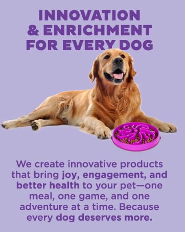 Outward Hound Slow Feeder Dog Bowl - Makes Meal... 32 innovation and enrichment for every dog pets