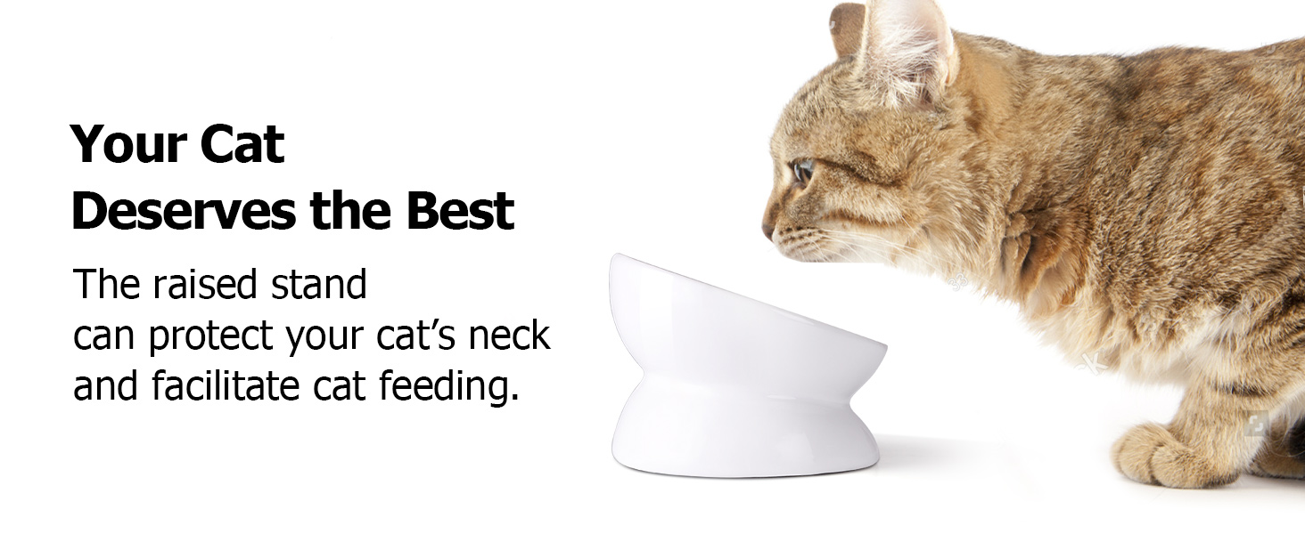 Y YHY Raised Cat Bowl,3.6x5.0 inch Premium Ceramic Cat Food Bowls Anti