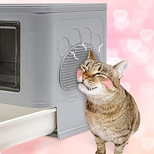 Lettiera Toilette Per Gatto Chiusa Grande Contenitori Con Cassetto 50x38x37cm 15 BingoPaw Toilette per Gatti chiusa con cassetto Cassettina Contenitori per lettiere igienica gatti