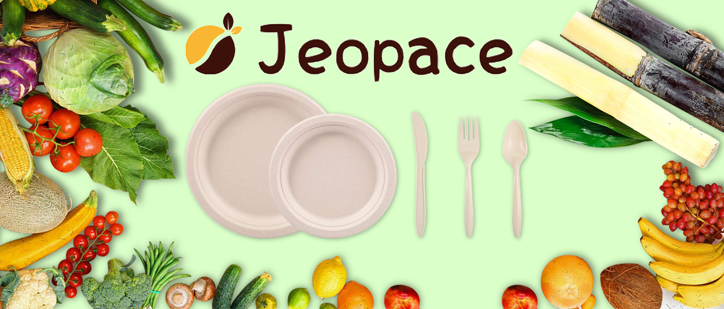 jeopace paper plates set