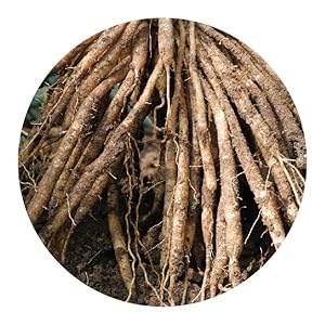 Small manufacture image 7