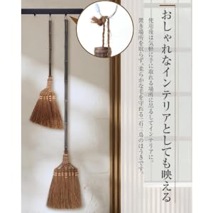 のん 日本クリンテック 棕櫚ほうき／短柄 : ベイシア ヤフーショップ