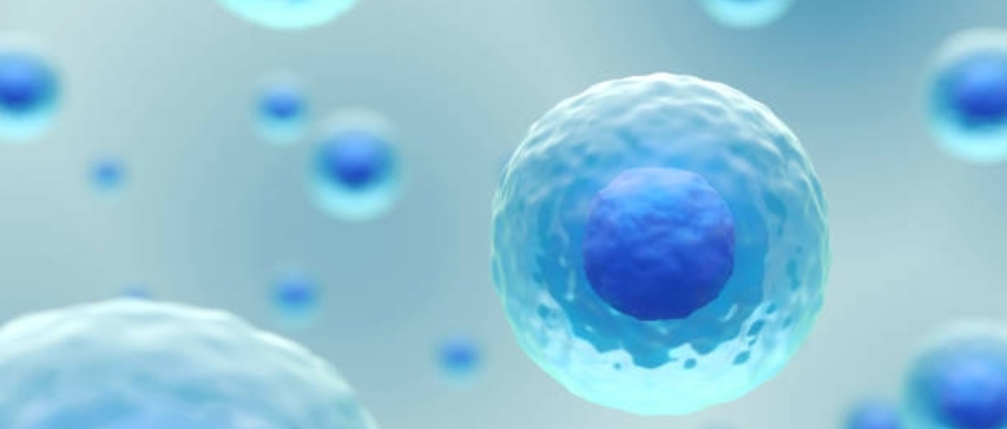 Explore the Fantastic World of Life