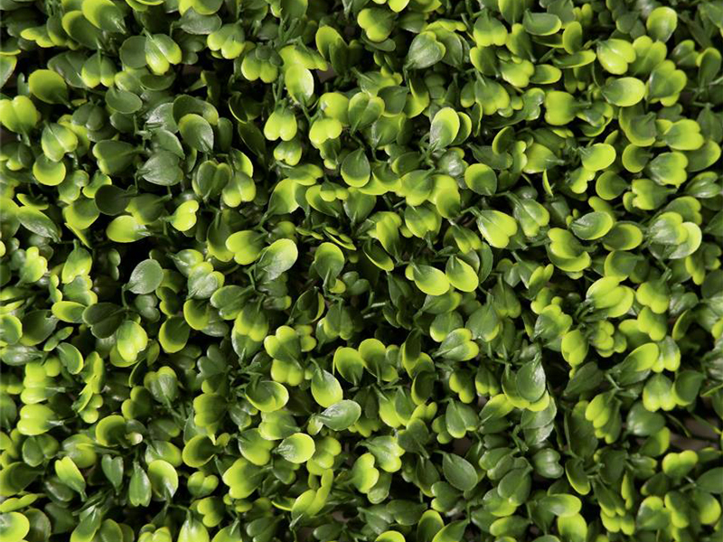 grass wall