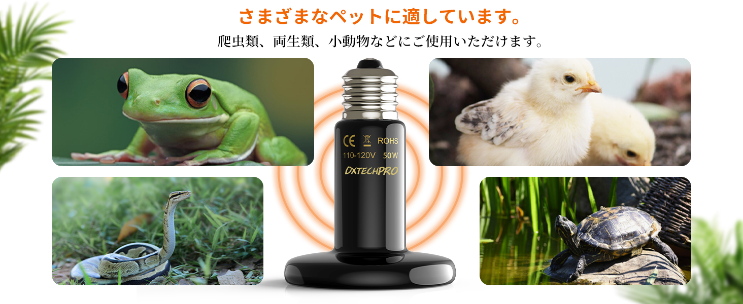 紫外線ライト 爬虫類