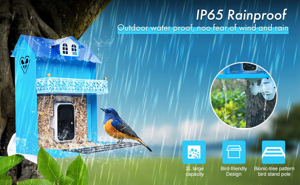 Smart Bird Feeder with Camera.Metal Bird Watching Camera