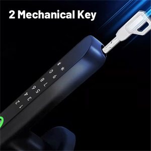 Small manufacture image 5