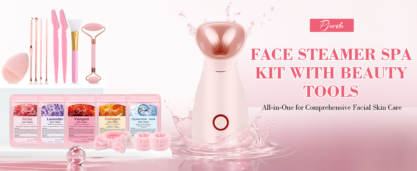 face steamer