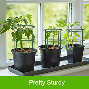 small tomato cage tomato cage small plant supports for peonies large tomato cage peonies cages round