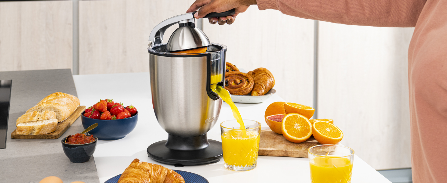 lever arm easy juicer