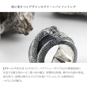 Amazon | [新宿銀の蔵] Cold I's コールドアイズ グリーン