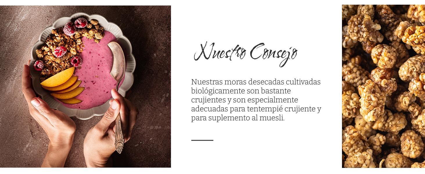 secas vegano fruta alimentarios bio sabroso sulfurosos dulces cocinando vitamina desayuno crudas