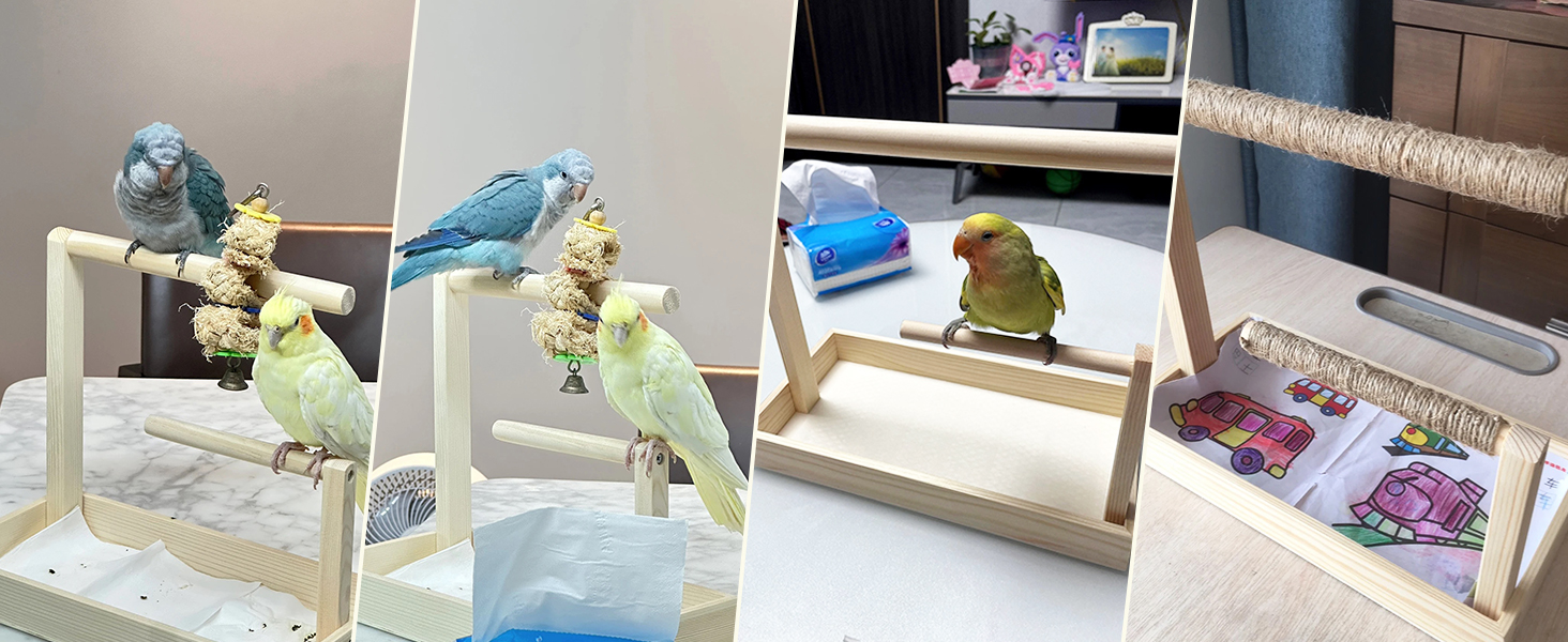 natural bird perch stand