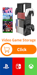 Video Game Storage