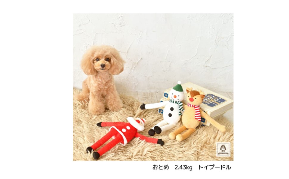 Amazon | 手足長クリスマスシリーズ ながいさん Free Solgra