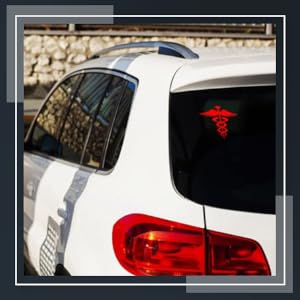 SPN-FOR1