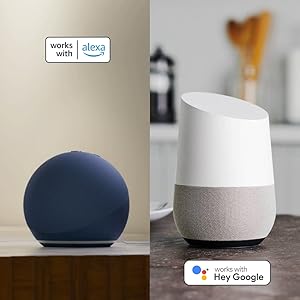 voice control