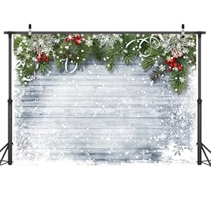 winter Backdrop