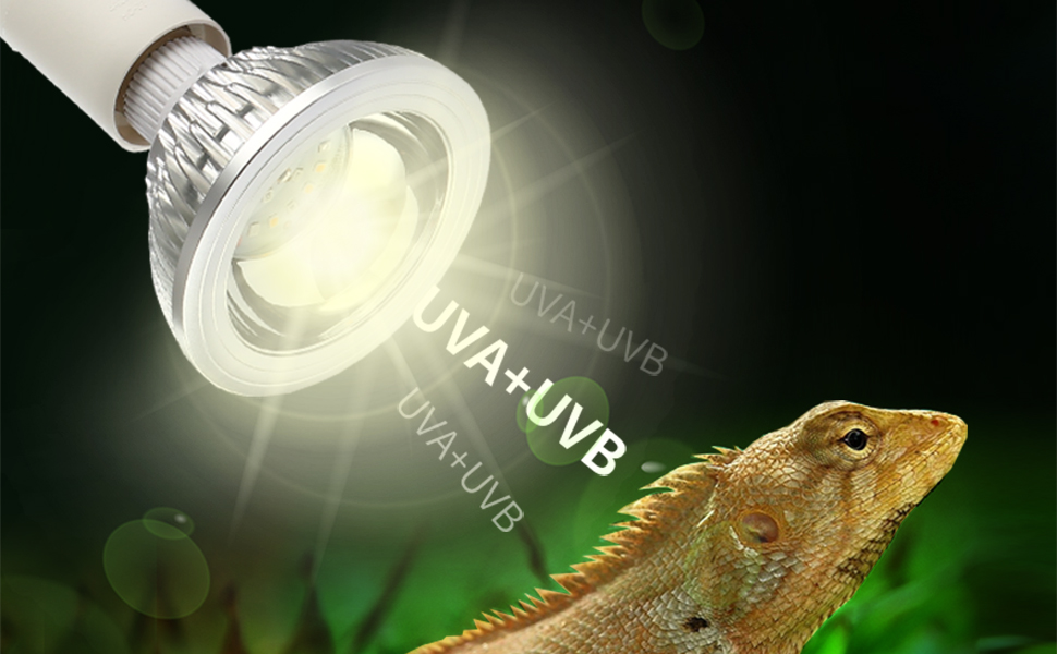 uvb reptile light