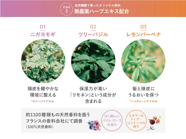 トリートメント hinata トリートメント hinata HITA(ヒタ) トリートメント 400mlの卸