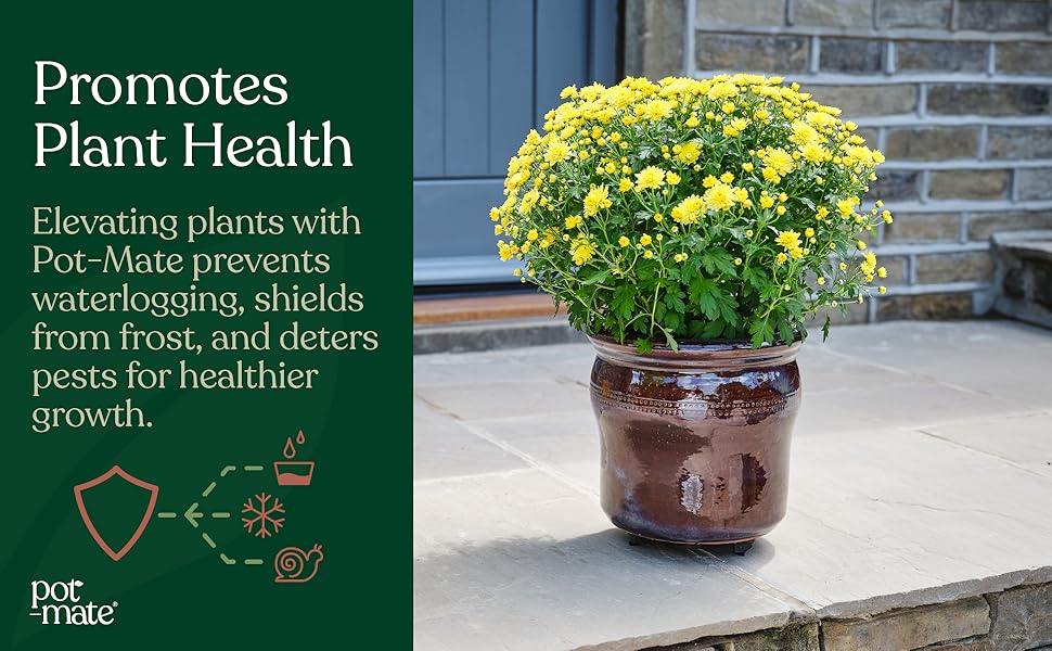 Pot-Mate Invisible Plant Pot Feet: Elevate And Protect Your Plants With