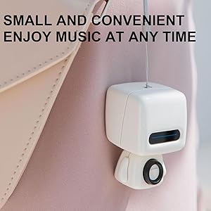 Portable Wireless Speaker