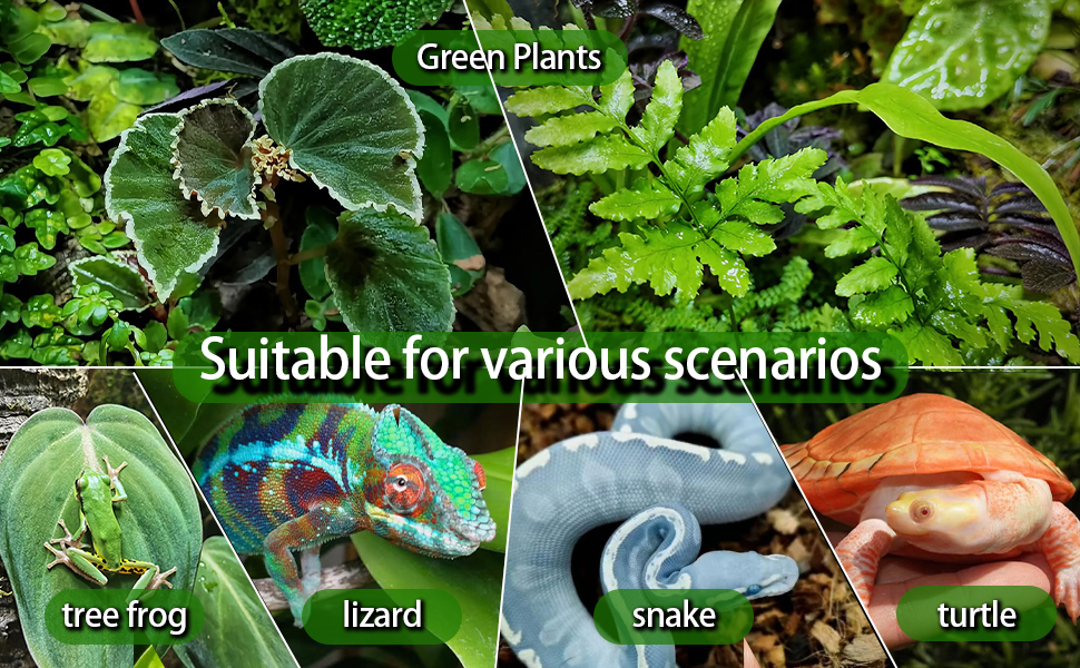 Suitable for various scenarios