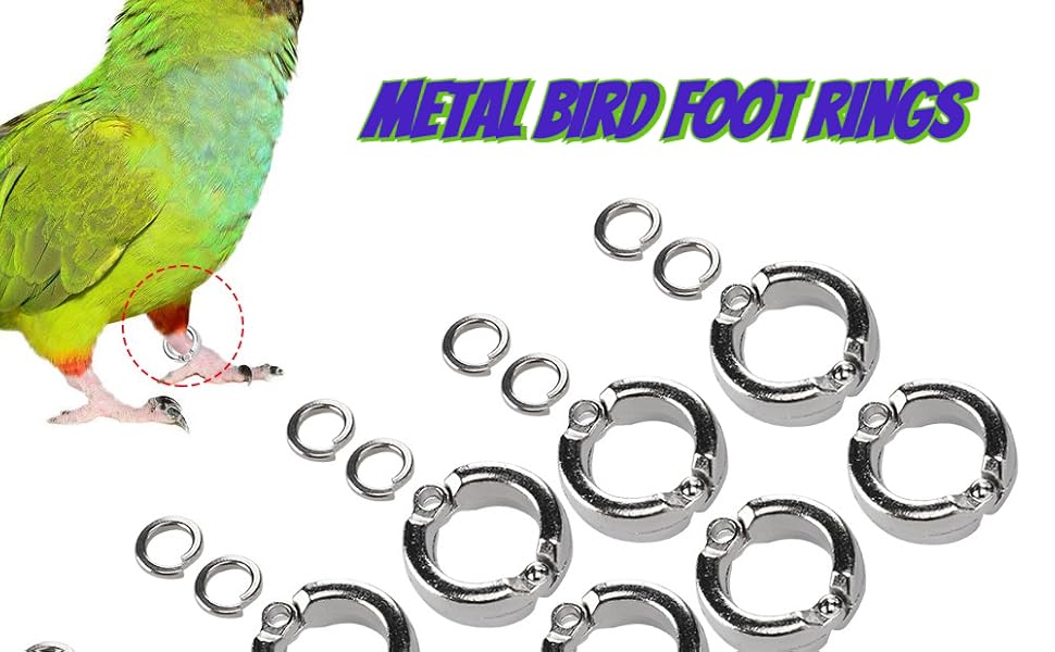 Bird Foot Rings
