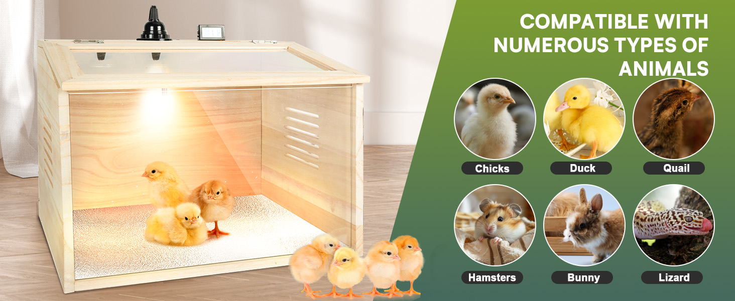 WISMOIER Wooden Brooder Box for Chicks Starter Kit with Heat Lamp