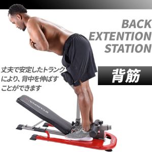 Amazon.co.jp: 腹筋 スクワット トレーニングベンチ 【1台4役