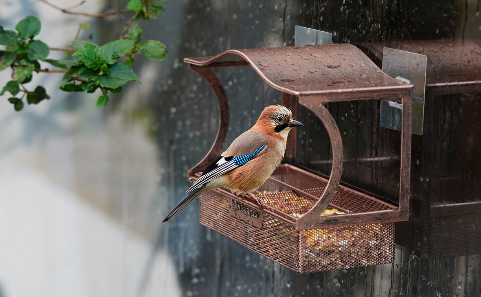 Window Bird Feeder, Desgully Durable Metal Window Bird Feeder, Window