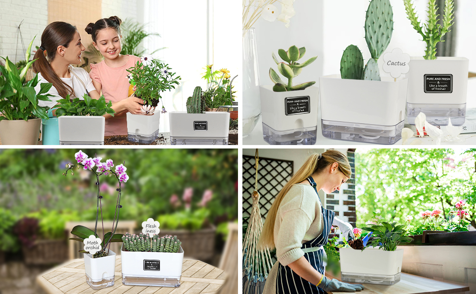 plant pots indoor