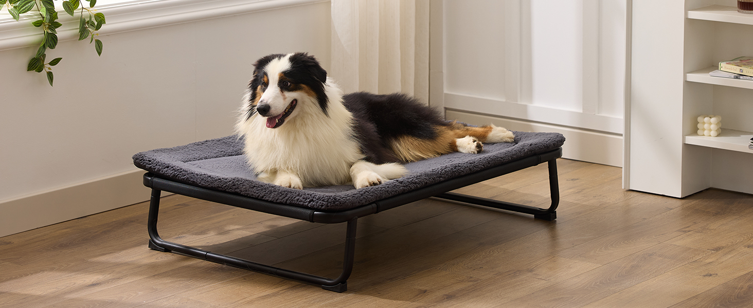 Joydeco dog bed mat for crate kennel washable machine living room sofa coach