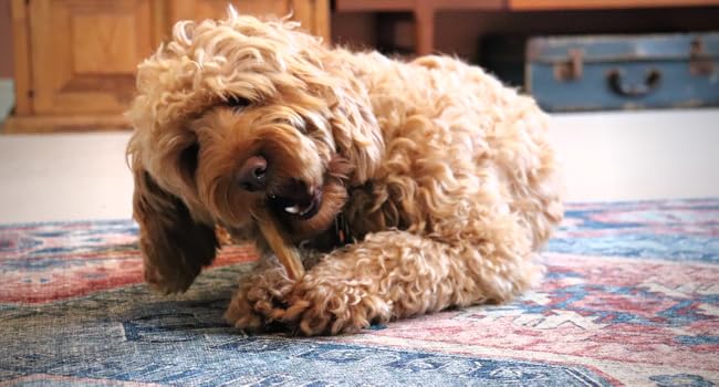 Large manufacture image 5