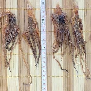 Amazon | 調味料無添加 国産 するめ足 80g サイズS チャック付き