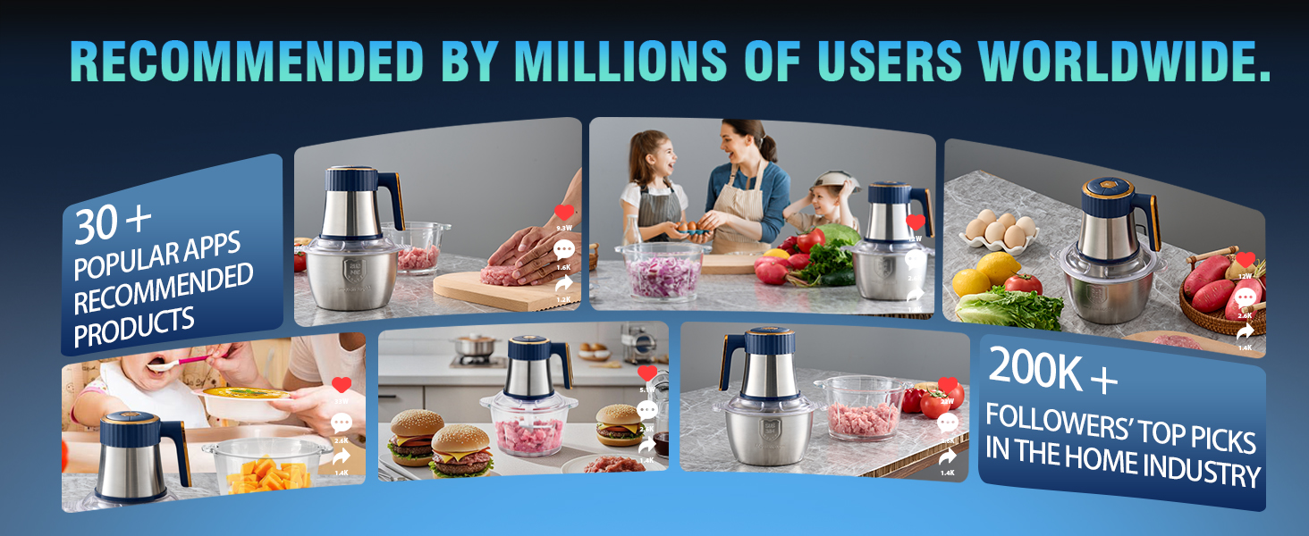 Electric Food Processor