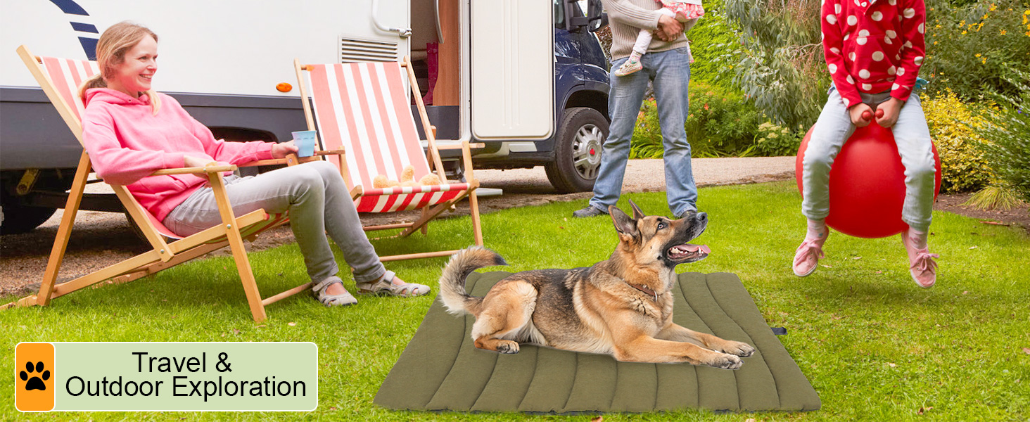 dog soft bed puupy Labrador