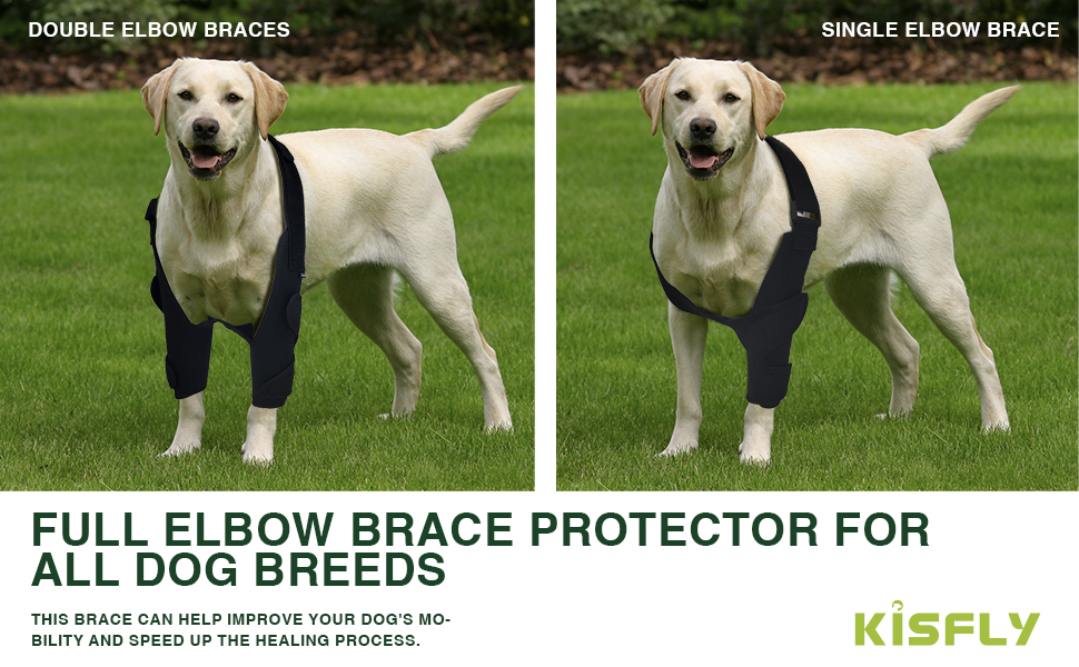 KISFLY Dog Elbow Brace for Canine Elbow and Shoulder Support Dysplasia