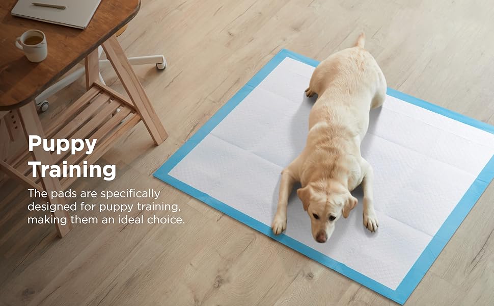 JAMES Heavy Duty Super Absorbent Fast Drying Toilet Pee Puppy Training