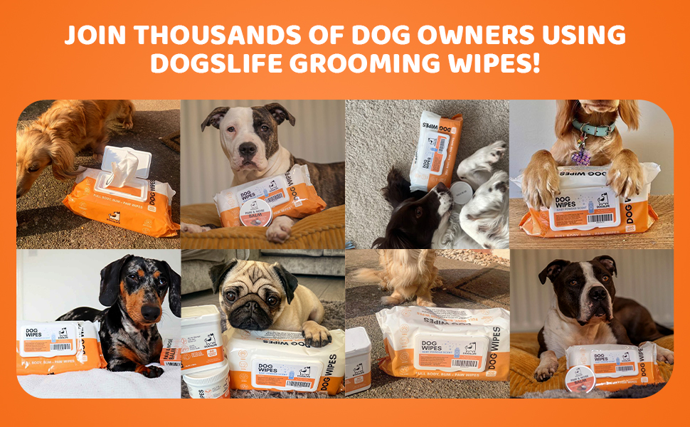 cheap dog cleaning dogslife brand amazon best wipe for cleaning puppies puppy pup dogs face wipes