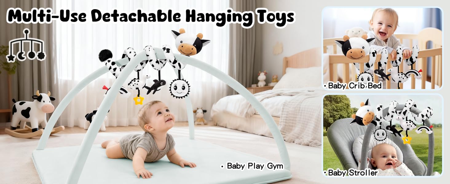 car seat toys