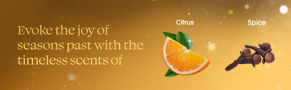 Glade Orange Zest Ingredients