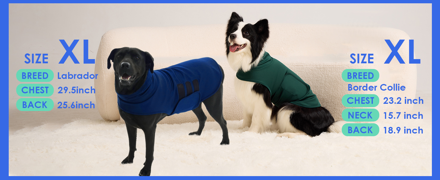 dog anxiety jacket