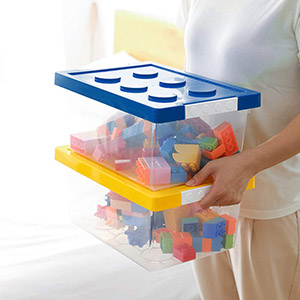 Toy Storage Organizer Bins with Lid