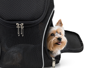 upgraded side opening pet carrier