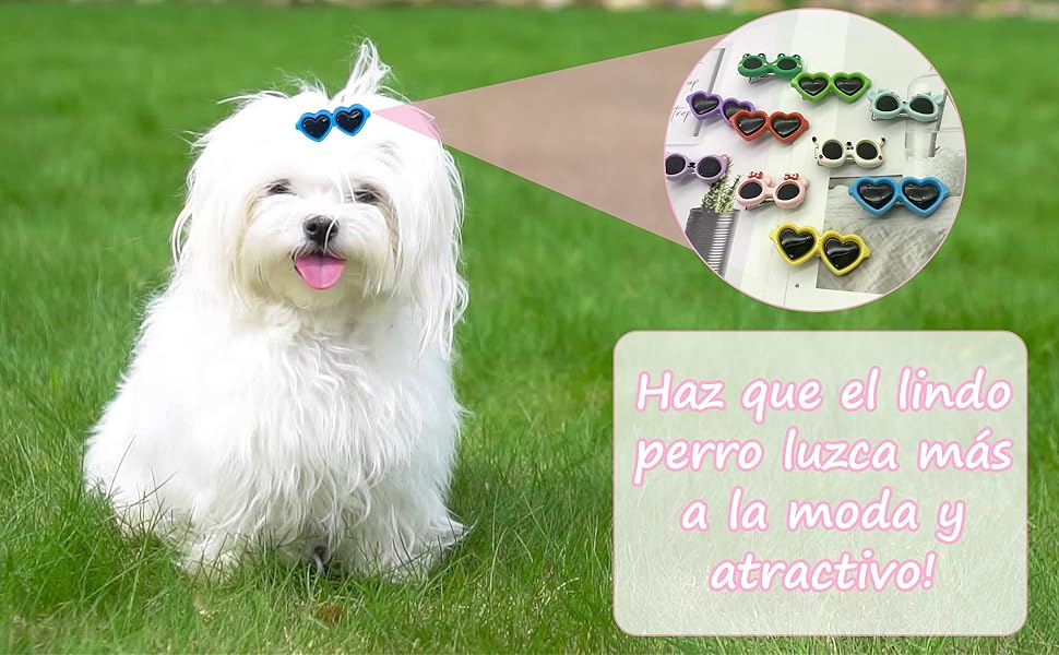 DHER 10 Pieces Pet Hair Clips Pet Clips Small Pet Hair Clips for Dogs Pet Hair Clips Small Clips for Animal Hair Super Cute Dog Headdress (A) 18 Pinzas de pelo para perros Clips De Pelo De Gato Animal Pinza para el Pelo para Perros