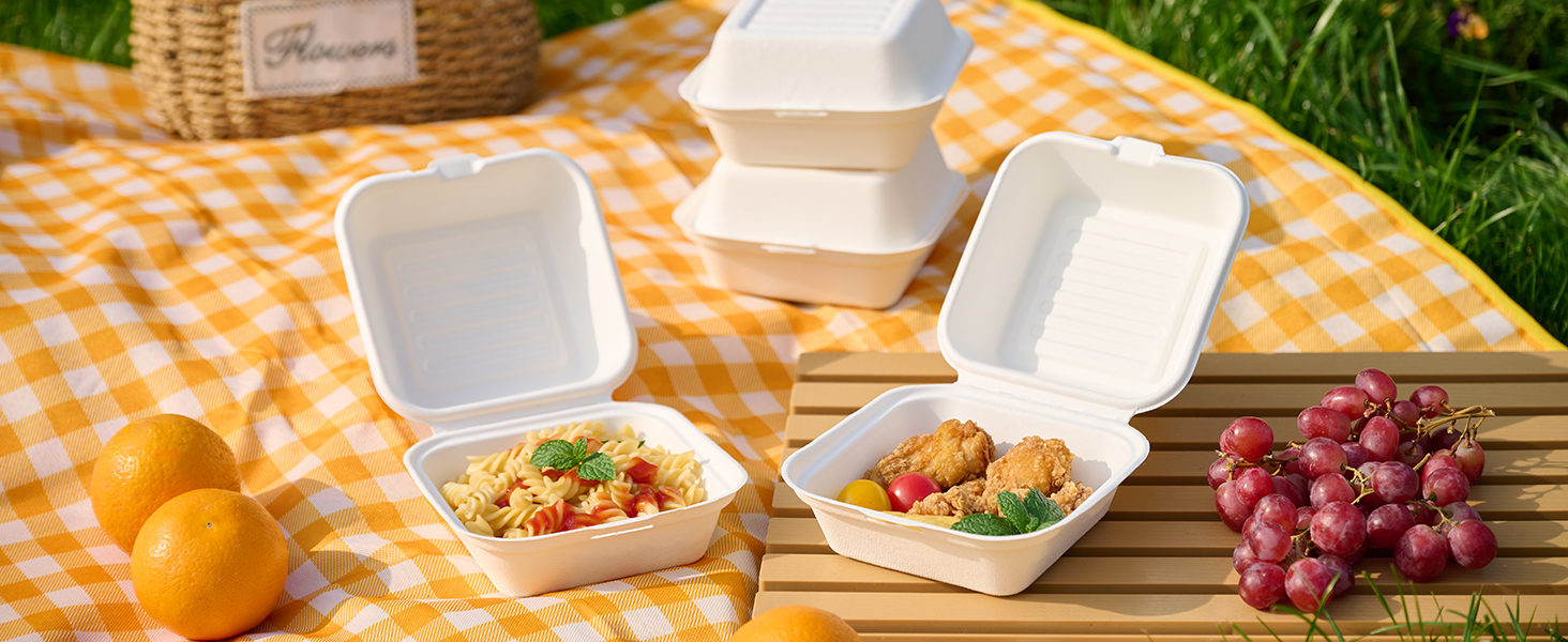 Clamshell Take Out Food Containers