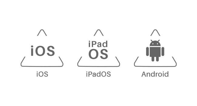 system