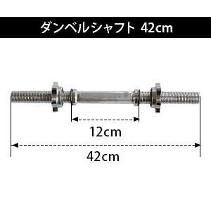 リーディングエッジ　2.5キロ4枚1.25キロ4枚シャフト二本 楽天市場】☆10/4〜10/10 最大6,000円OFFクーポン☆ダンベル