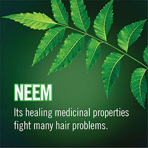 Tresemme Detox & Restore Shampoo